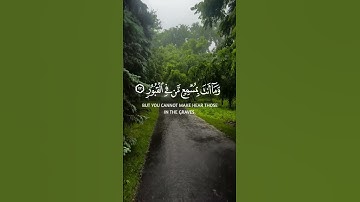 سورة فاطر الآيات{ ١٩ - ٢٢ }#المصحف #quran #اكسبلور #اكسبلور #حالات_واتس #islamicfestival #لايك #راحة