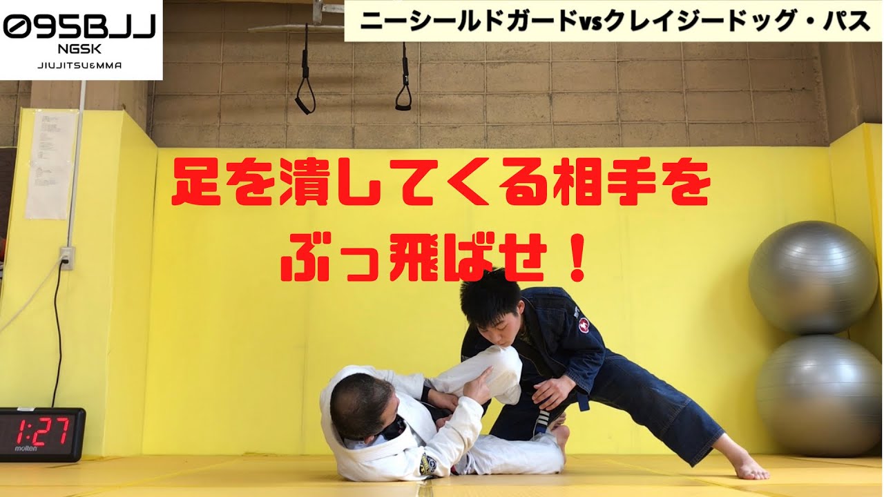ニーシールド ハーフガード クレイジードッグ パスを狙う相手へカウンタースイープ 引き手が重要 Youtube