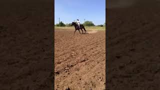 trim 06054C3E CB59 43C8 B9C2 789131680D24