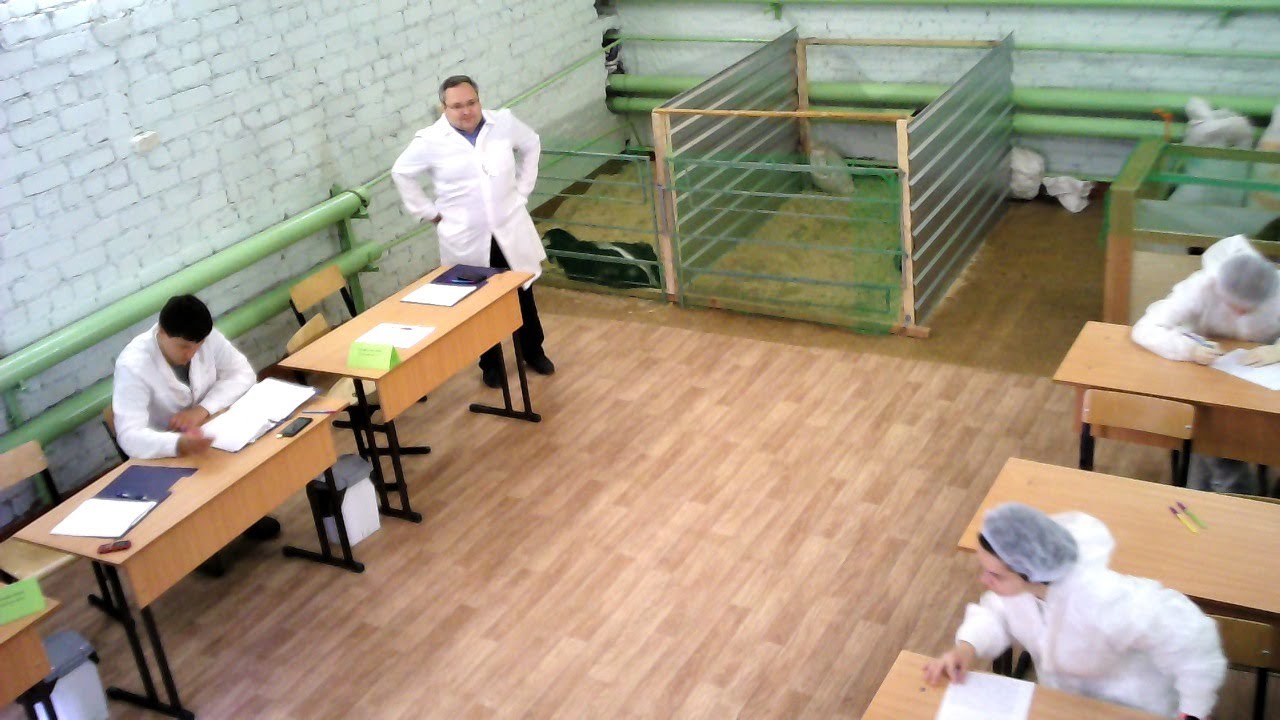 Модули С1 и С4. Клинический осмотр МРС и птицы - YouTube