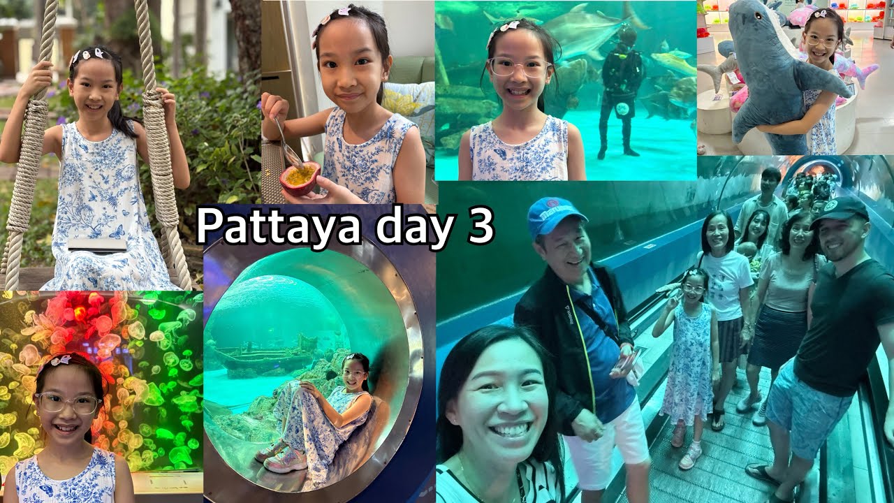 Ep406 Pattaya day 3 กินปู ดูปลา จบทริปด้วยสลัด เพราะท้องจะแตกแล้ว