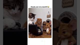 Follow more funny 😂🤣🤣🤣 #shortsvideo #funny #kidsvideo #cat #trending #viral #memes