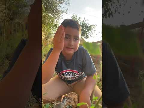 كوميدي انا ما بنجرح