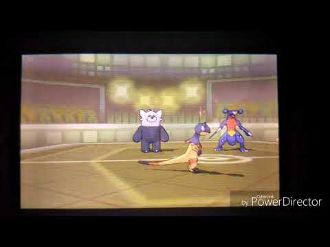 意外と知らない ポケモンの仕様あれこれクイズ 解答編 ポケモンあれこれ