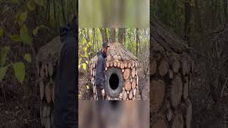 Building Bushcraft Underground Dugout Survival Shelter Camping #shorts #38