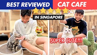 Download lagu Best Reviewed CAT CAFE in Singapore! *OMG SO CUTE*