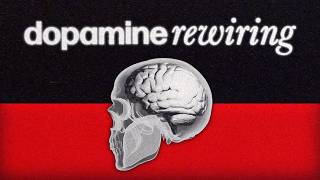 How I Fixed My Broken Dopamine System.