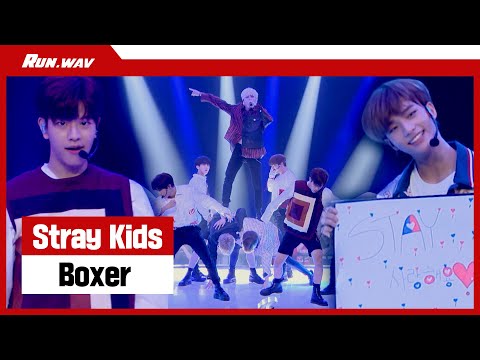스트레이 키즈 Stray Kids 의 파워풀한 Boxer 무대 격정 댄스브레이크 보고 가세요