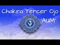 SANAR y DESBLOQUEAR CHAKRA Tercer Ojo ☯ Mantra 'AUM' ~ OM para EQUILIBRAR  Sexto Chakra - 852Hz