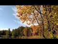 4K Замечательный осенний день _ Wonderful autumn day