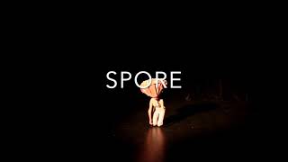Spore's Highlights