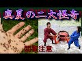 【怪奇】まさかの事態に...遭遇しました...