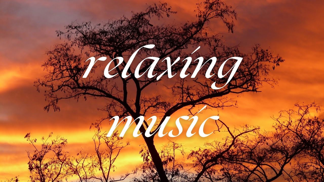 1 Hour Of Relaxing Music For Ultimate Stress Relief And Calmness 1小时轻音乐 ...