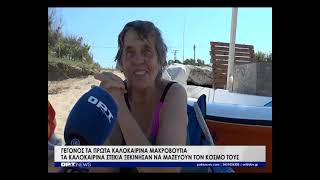 Ξεκίνησαν τα πρώτα μαζικά καλοκαιρινά μακροβούτια