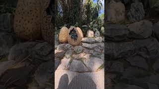 kala mo nasa loob ka ng games 🤣