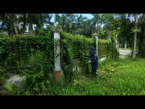 Satisfying Cleanup: Luxury Mansion Buried Under Years of Trash – Amazing Transformation!