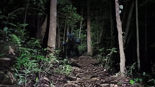 Download Lagu live streaming malam ini ‼️ sosok yang usil MP3