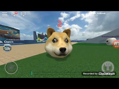 Playing With A Doge Skin Roblox Youtube - skin doge roblox