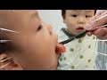 計2房の桃を食べた双子