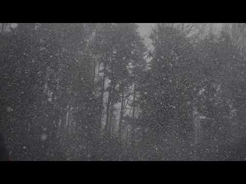 Sleepy fish - I wish it would never stop snowing (LoFi/Chillhop)
