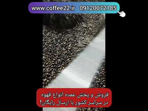 پخش عمده قهوه