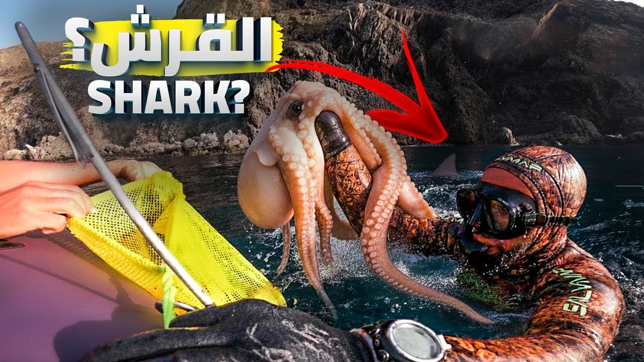 خيرات الله من الأسماك في سواحل الريف ـ Moroccan seafood