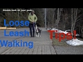 Teaching your dog not to pull on leash  loose leash walking tips