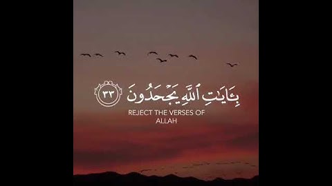 قران كريم ، تلاوة خاشعة ، اللهم اجعل القران الكريم ربيع قلوبنا