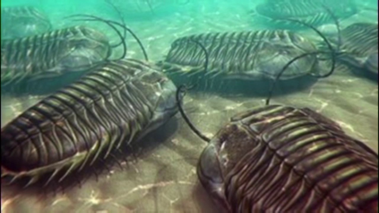 Cambrian Period YouTube cambrian-period-youtube