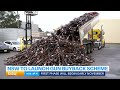 NSW to launch biggest gun buyback program in decades | 9 News Australia