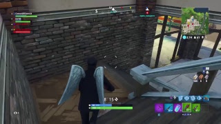 Fortnite with Alski and ldc100