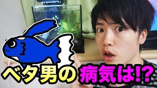 ベタ男の病気は？さらにお引っ越しも！