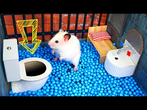 ? Hamster Escapes the Creative Maze for Pets in real life ? in Hamster Stories