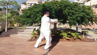 Yang basic 4 corners ward off, roll back, press and push.