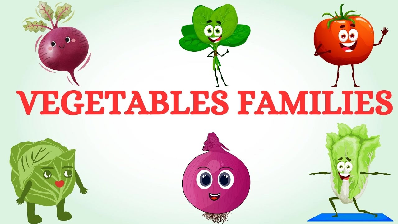 VEGETABLE FAMILY NAMES IN ENGLISH rootvegetables leaf Greens vegetable-family-names-in-english-rootvegetables-leaf-greens