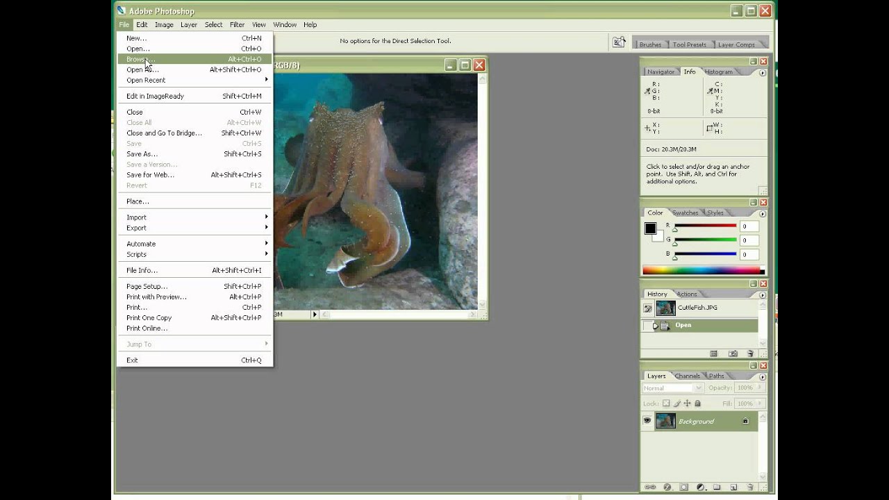 Opening a File in CS2 - YouTube