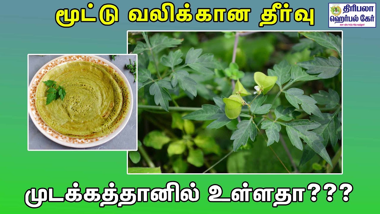மூட்டு வலிக்கான தீர்வு Dr.Ramesh kumar Triphala herbal Care Salem