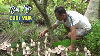 Download Lagu PHÁT HIỆN \ MP3 Download Lagu PHÁT HIỆN \ MP3
