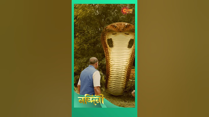 #Nandini #sunbanglaserial  #shorts #ytshorts