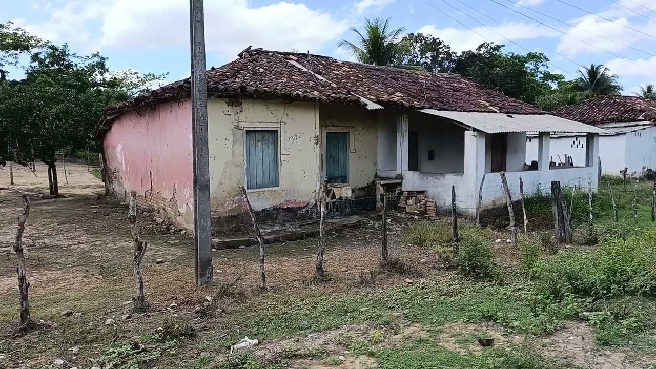 ENGENHO GAMELEIRA DE CATENDE CASSIANO OFICIAL 8141