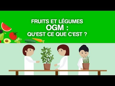 Vidéo: Quels légumes sont OGM ?