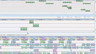 TPAC Workbench - Pairing Editor