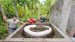 Giant Python's Hidden Nest Exposed by Military-Grade Snake Detectors