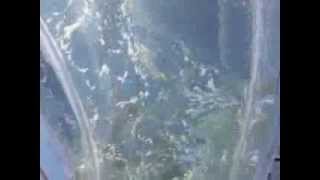 20131108 サンシャイン水族館 (2/4)