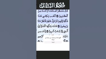 سورة النمل الآية 28 #قرآن #تلاوات #سورة