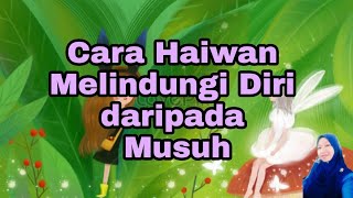 Cara Haiwan Melindungi diri Dari pada Musuh ( Kemandirian Speisis Haiwan) Tahun 5