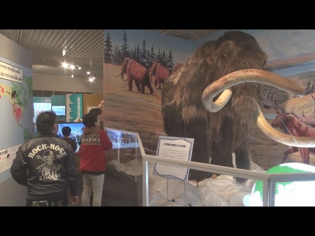 実物大のマンモスの模型やサーベルタイガーの骨格などを展示 - YouTube