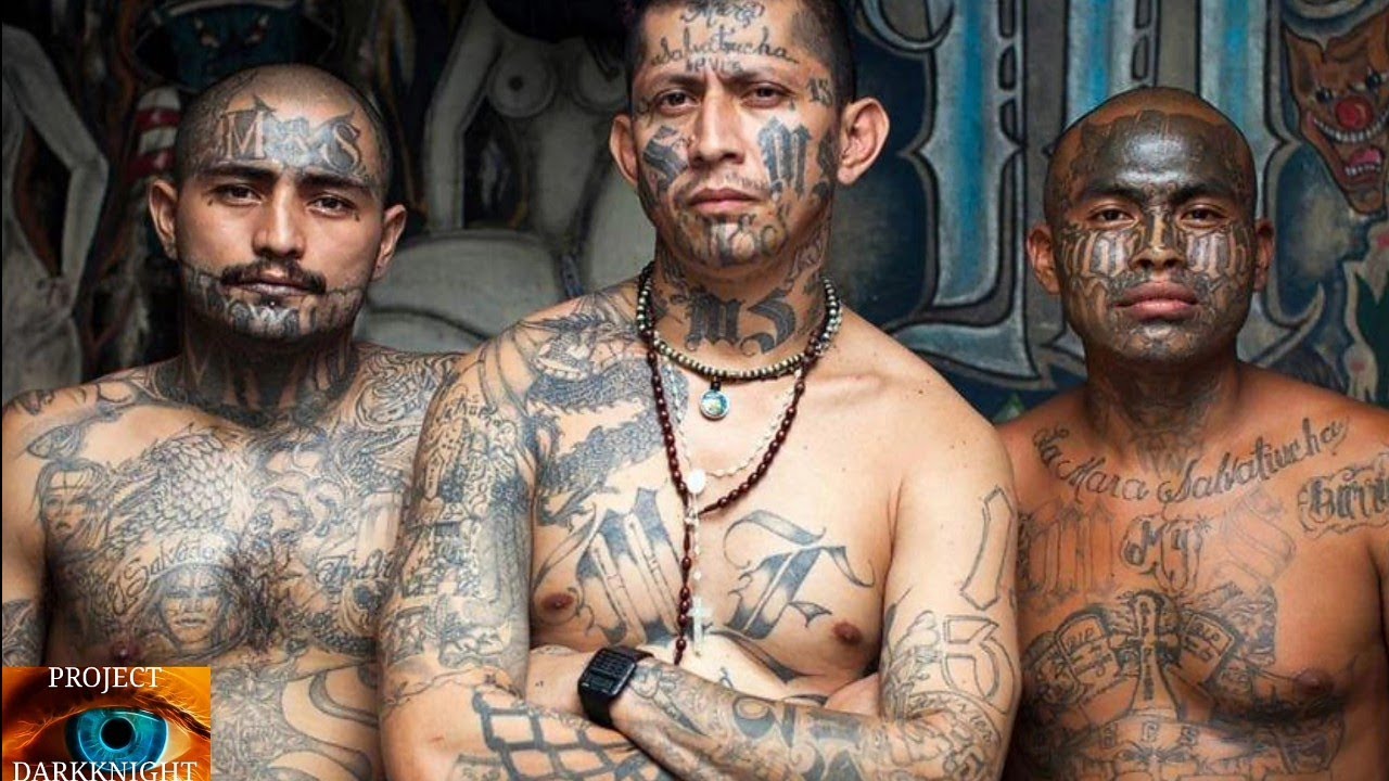10 Most Dangerous Gangs In The World - YouTube