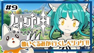 【原神】ぬいぐるみ、今更原神始めてみる！！#9 レベリングするよ