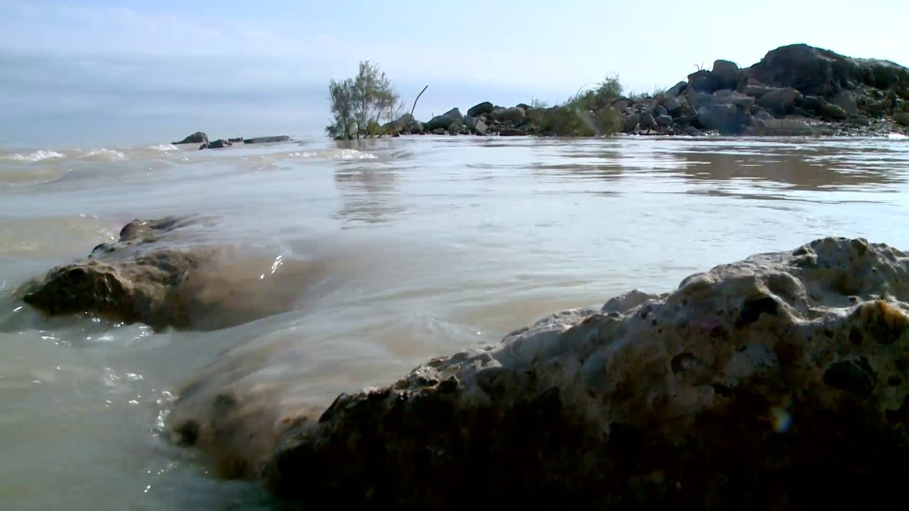 هور الشويجه مورد اقتصادي ومعلم سياحي .. ابتسام الصافي .. واسط